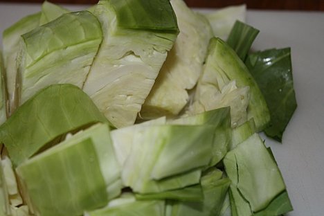 cabbage-2